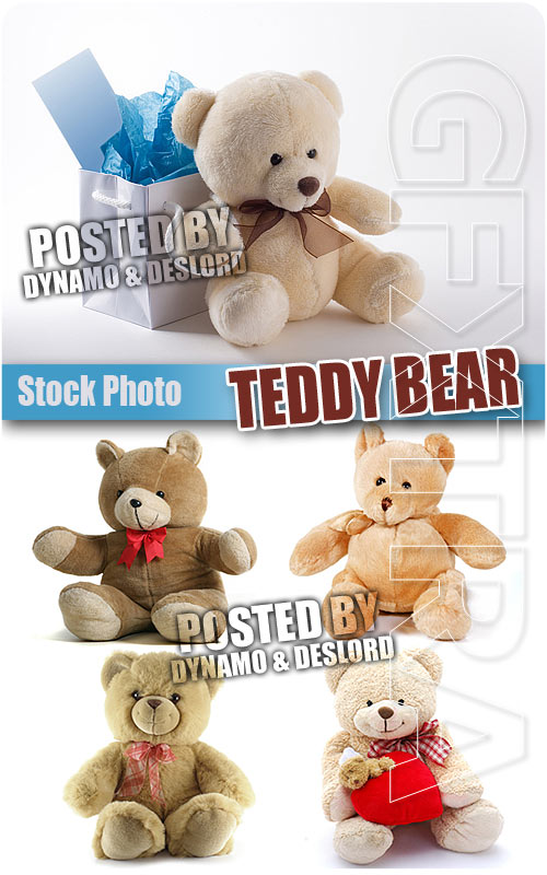 Teddy bear - UHQ Stock Photo