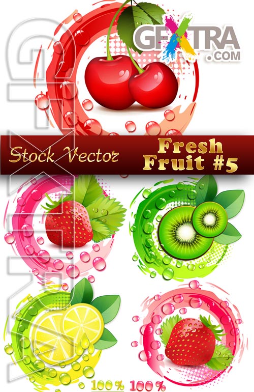 Vector Fruit #5 - Stock Vector