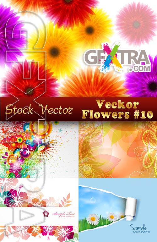Vector Flowers #10 - Stock Vector