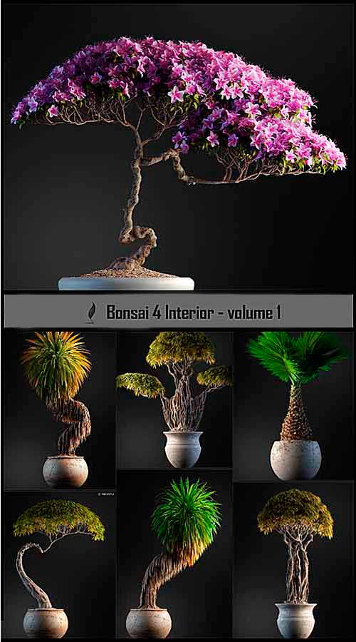 Bonsai4Interior Vol.1 