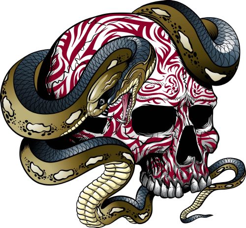 Istockphoto: T-Shirt Skull Designs VIII, 17xEPS