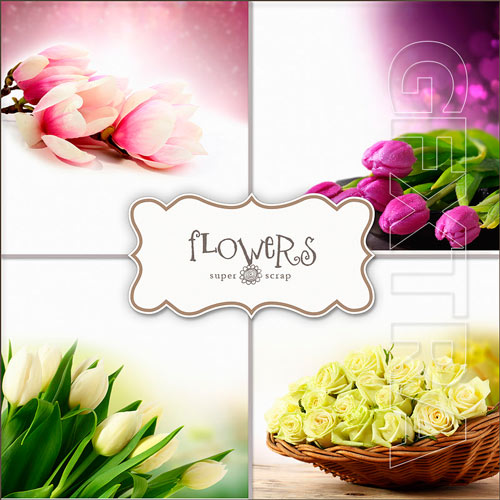 Scrap Kit - Flowers Backgrounds