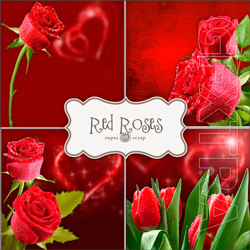 Scrap Kit - Red Roses