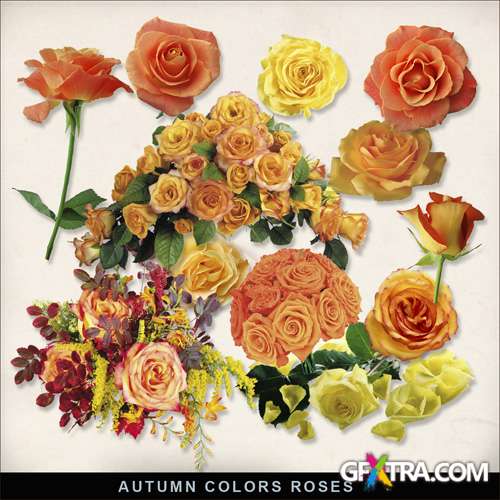 Scrap-kit - Autumn color Roses - Great Flowers Clipart in PNG Images