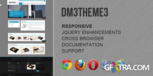ThemeForest - Dm3theme3 - Responsive Business Template - RIP