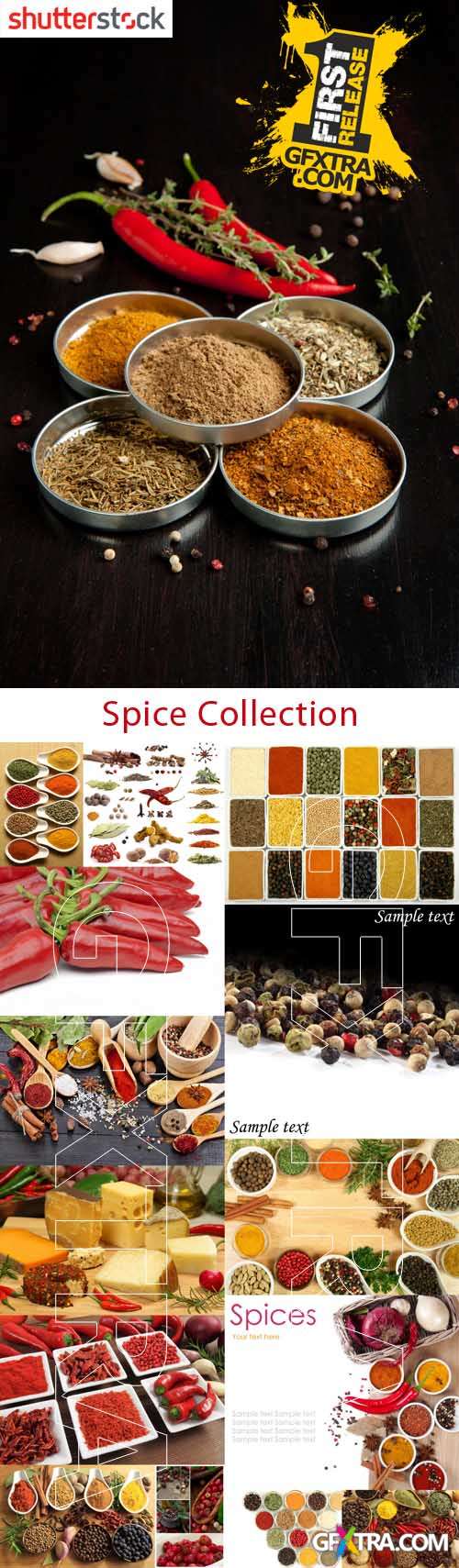 Spice Collection - HQ Stock Photo