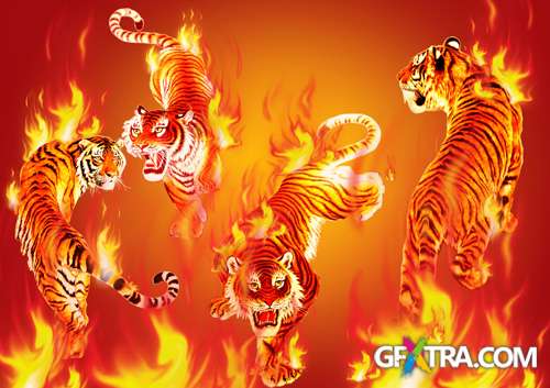 Sources - Fiery-red tiger