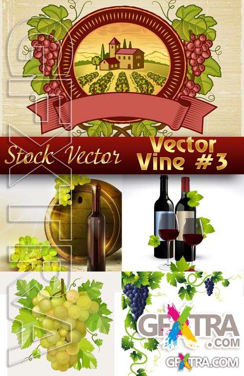Vector vine #3 - Stock Vector