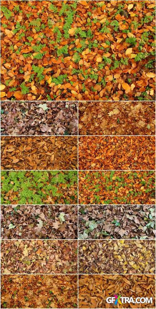 Autumn - Leaves & Grass Textures
