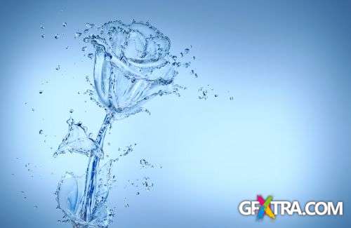 Splash Collection 50xJPG