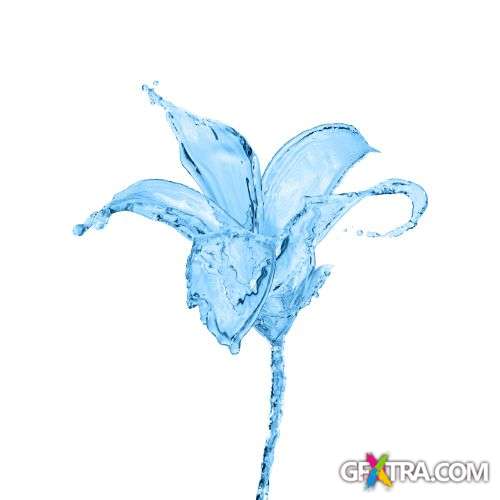 Splash Collection 50xJPG