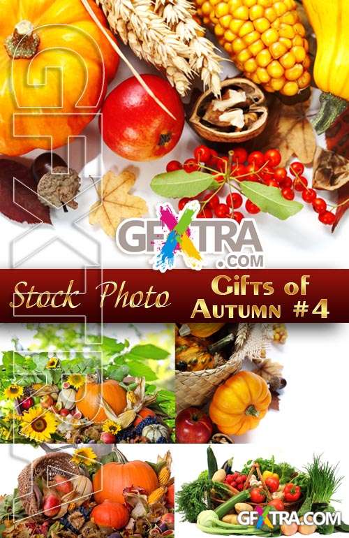Gifts of Autumn #4 - Stock Photo