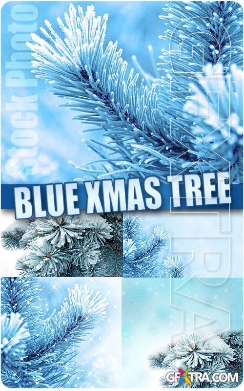 Blue xmas tree - UHQ Stock Photo