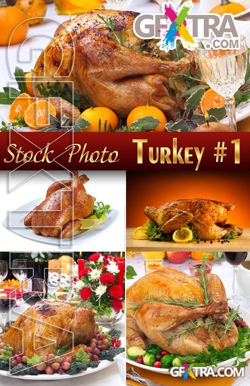 Christmas turkey #1 - Stock Photo