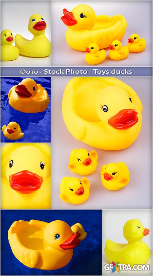 Stock Photo - Toys Ducks - Image Cliparts For Design