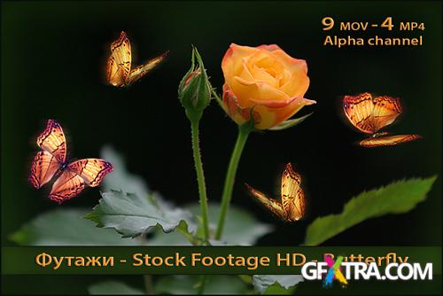 Alpha Channel Footage HD - Butterflies With Flowers - Creative Video Footage