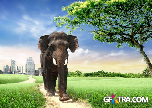 Thailand Trip Concept 42xJPG