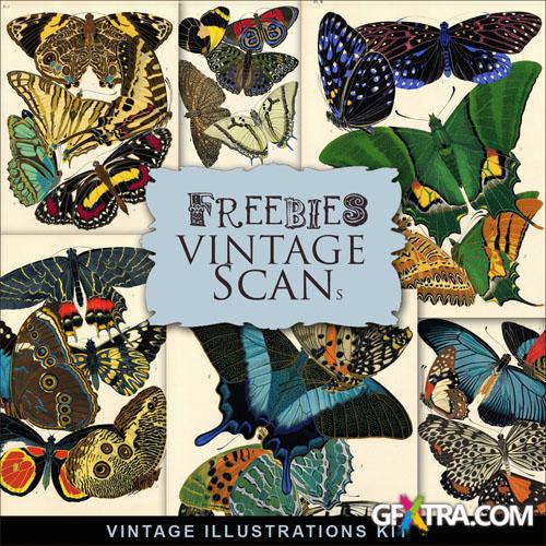 Scrap-kit - Vintage Butterflies Illustrations - Art Images For Design
