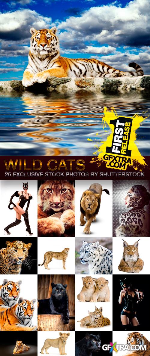 Wild Cats 25xJPG