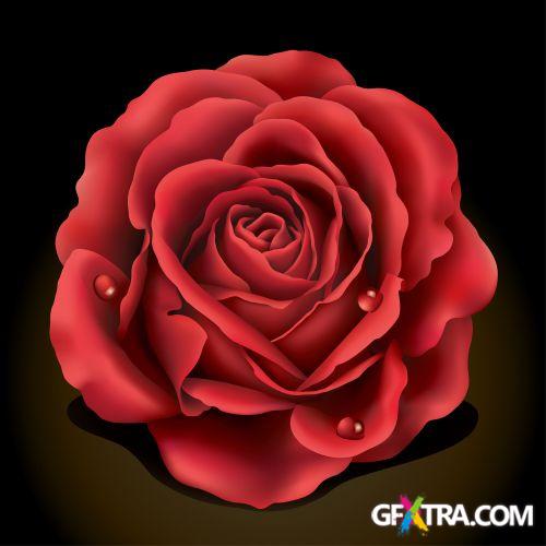 iStockPhoto: Christmas Design Elements - 43xEPS iStockPhoto: Christmas Design Elements - 43xEPS