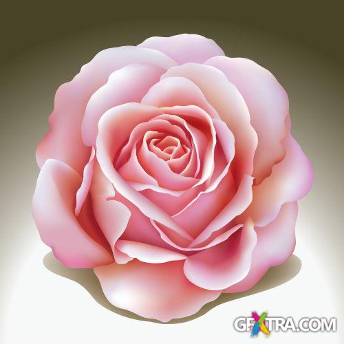 iStockPhoto: Christmas Design Elements - 43xEPS iStockPhoto: Christmas Design Elements - 43xEPS