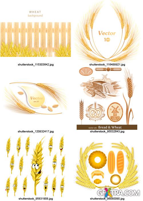 Amazing SS - Wheat and Bread, 25xEPS Amazing SS - Wheat and Bread, 25xEPS