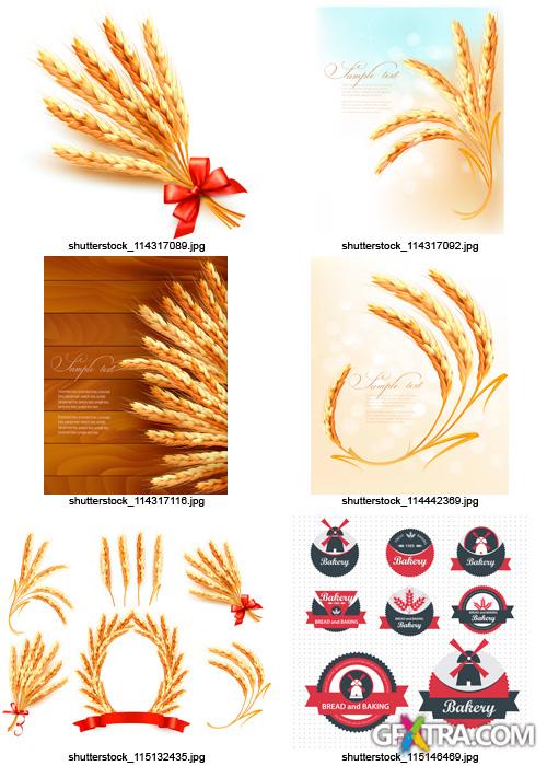 Amazing SS - Wheat and Bread, 25xEPS Amazing SS - Wheat and Bread, 25xEPS