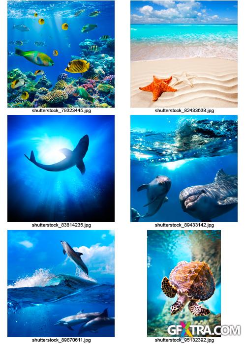 Amazing SS - Ocean &amp; Underwater World, 25xJPGs