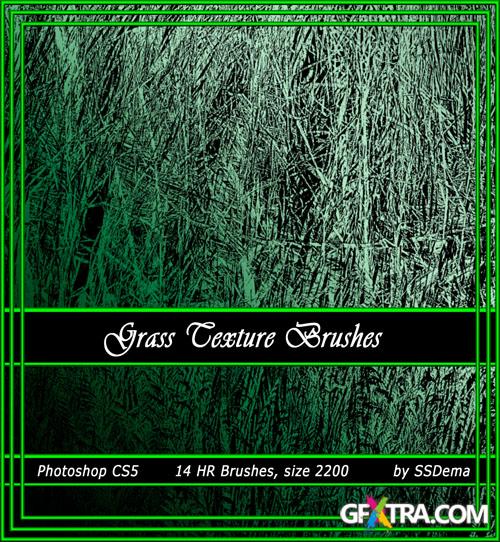 Grass Texture Photoshop Brushes