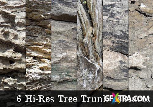 6 Hi-Res Tree Trunk Textures