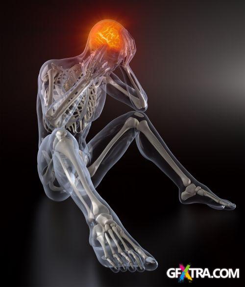 Human Anatomy Great Collection 175xJPG