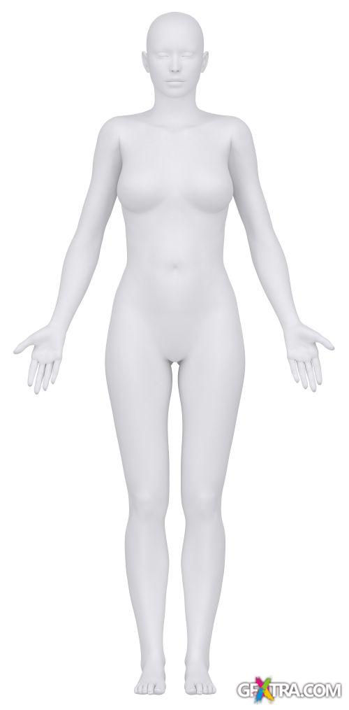 Human Anatomy Great Collection 175xJPG