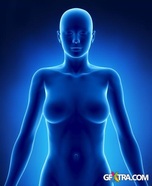 Human Anatomy Great Collection 175xJPG