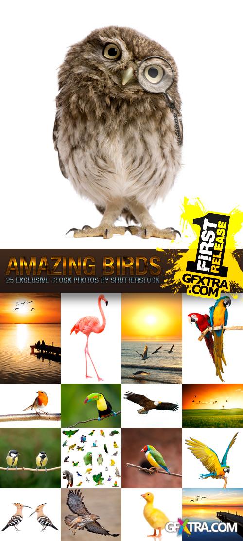 Amazing SS - Birds, 25xJPGs