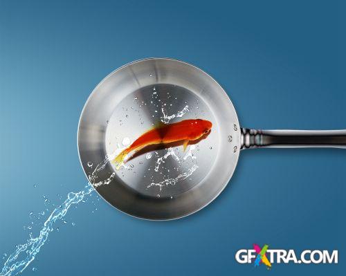 Angel Fish Conceptual Renders 50xJPG