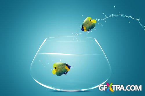 Angel Fish Conceptual Renders 50xJPG