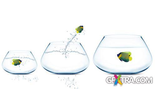 Angel Fish Conceptual Renders 50xJPG