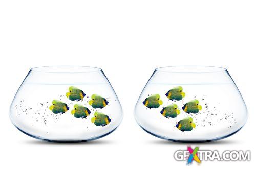 Angel Fish Conceptual Renders 50xJPG