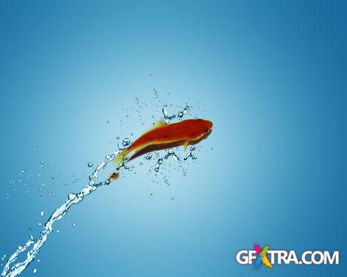 Angel Fish Conceptual Renders 50xJPG