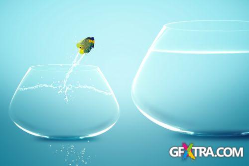 Angel Fish Conceptual Renders 50xJPG