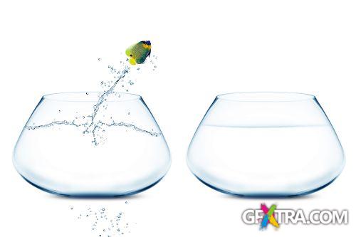 Angel Fish Conceptual Renders 50xJPG