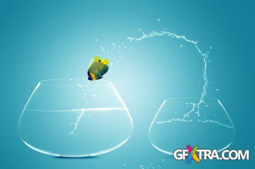 Angel Fish Conceptual Renders 50xJPG