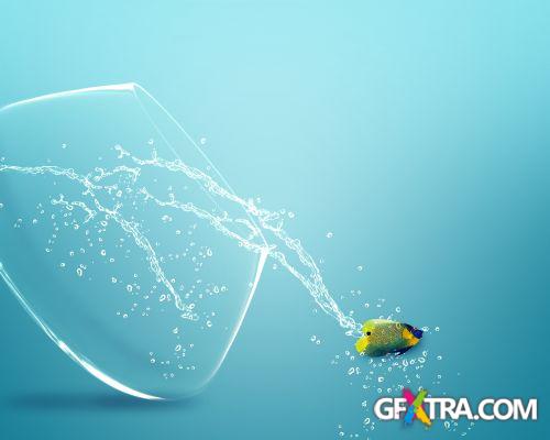 Angel Fish Conceptual Renders 50xJPG