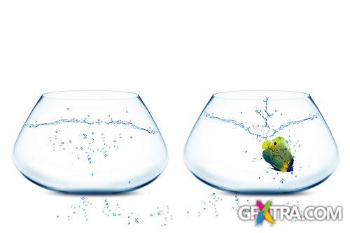 Angel Fish Conceptual Renders 50xJPG