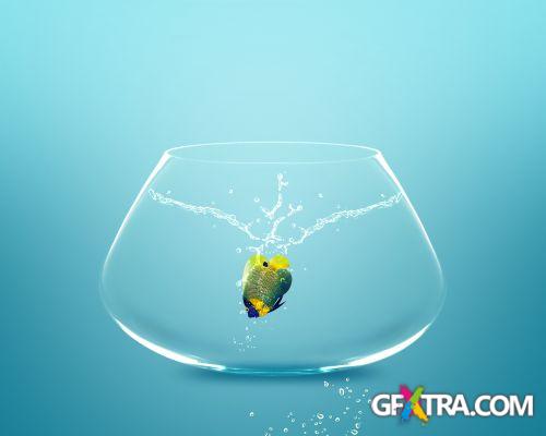 Angel Fish Conceptual Renders 50xJPG