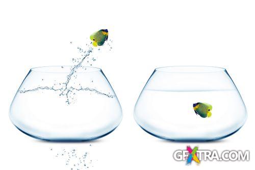 Angel Fish Conceptual Renders 50xJPG