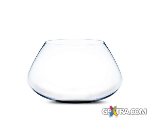 Angel Fish Conceptual Renders 50xJPG