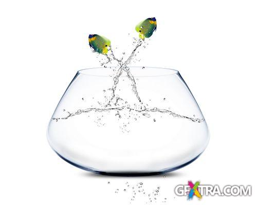 Angel Fish Conceptual Renders 50xJPG