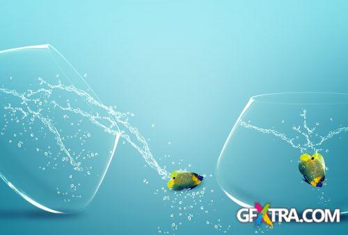 Angel Fish Conceptual Renders 50xJPG