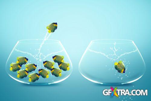 Angel Fish Conceptual Renders 50xJPG